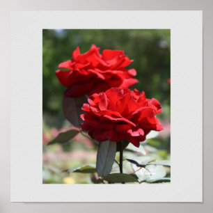 Red Bouquet-utskrift Poster