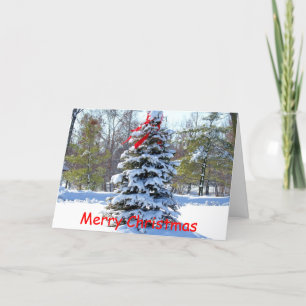 Red Bow Evergreen Helgkort