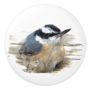 Red-brestat nuthatch Ceramic Knob Knopp