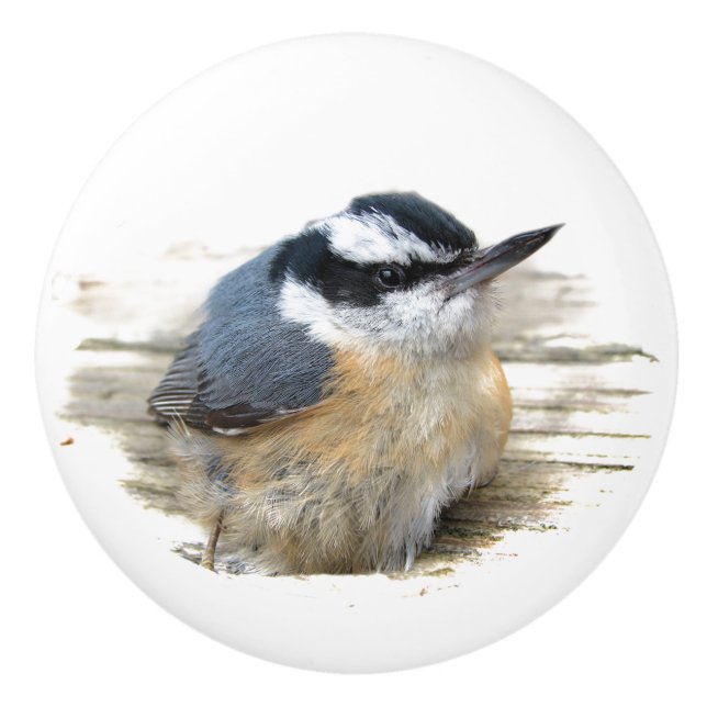 Red-brestat nuthatch Ceramic Knob Knopp (Framsidan)