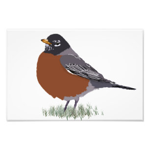 Red Brested American Robin Digitally Drawn Bird Fototryck