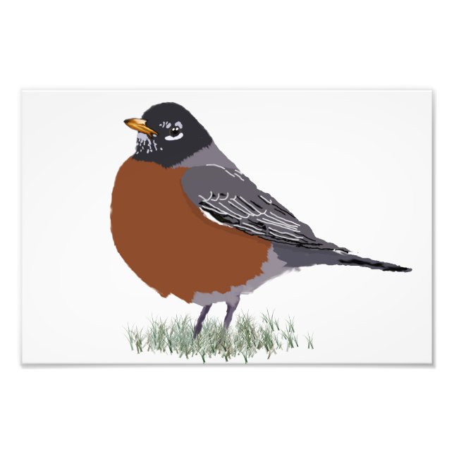 Red Brested American Robin Digitally Drawn Bird Fototryck (Framsidan)