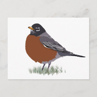 Red Brested American Robin Digitally Drawn Bird Vykort