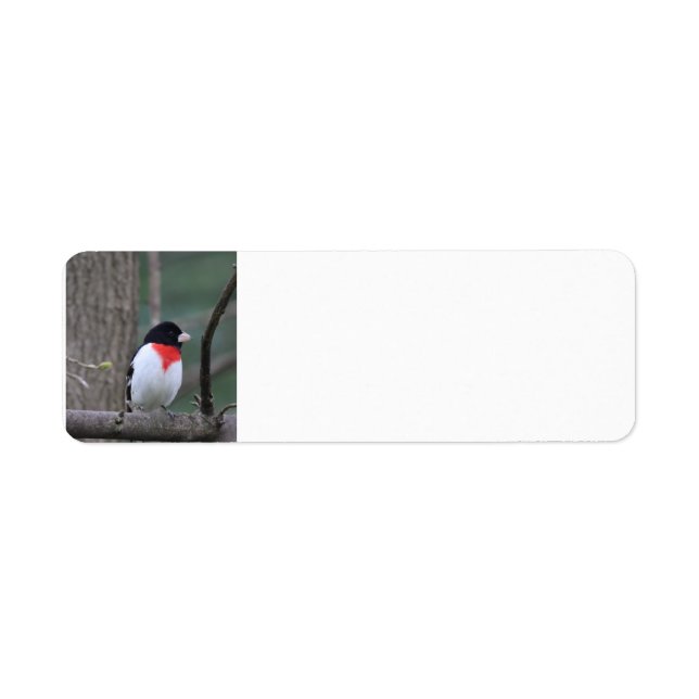 Red-Brested Grosbeak-adressetiketter Returadress Etikett (Framsidan)