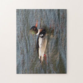 Red Brested Merganser jigszle puzzle Pussel