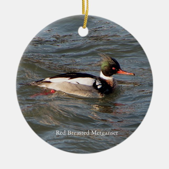 Red Brested Merganser ornament (Framsidan)