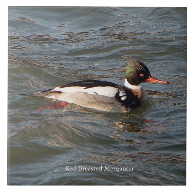 Red Brested Merganser Panel Kakelplatta (Framsidan)