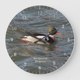 Red Brested Merganser Stor Klocka