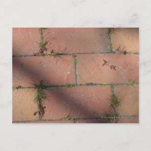 Red Brick Vykort