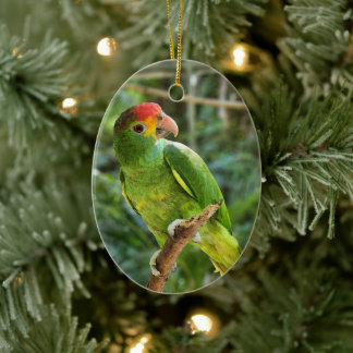 Red Broged Amazon Parrot Julgransprydnad Keramik
