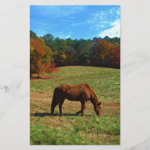 Red Brown horse, fall träd, blå himmel