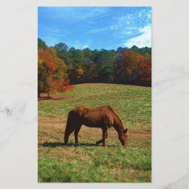 Red Brown horse, fall träd, blå himmel (Framsida)