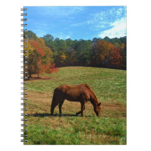 Red Brown horse, fall träd, blå himmel Anteckningsbok Med Spiral