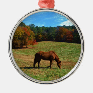 Red Brown horse, fall träd, blå himmel Julgransprydnad Metall