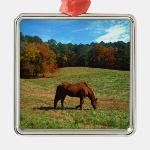 Red Brown horse, fall träd, blå himmel Julgransprydnad Metall