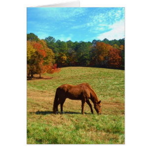 Red Brown horse, Teal Blå himmel Hälsningskort