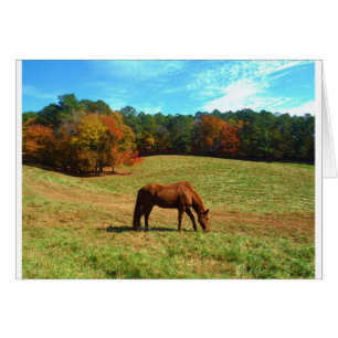 Red Brown horse, Teal Blå himmel Hälsningskort