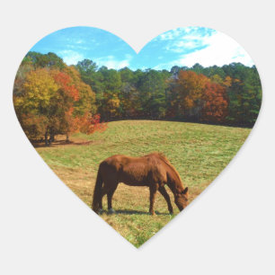 Red Brown horse, Teal Blå himmel Hjärtformat Klistermärke