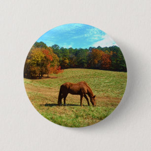 Red Brown horse, Teal Blå himmel Knapp