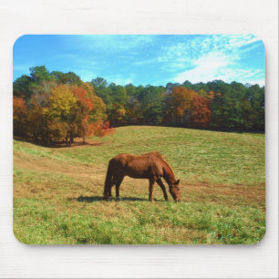 Red Brown horse, Teal Blå himmel Musmatta