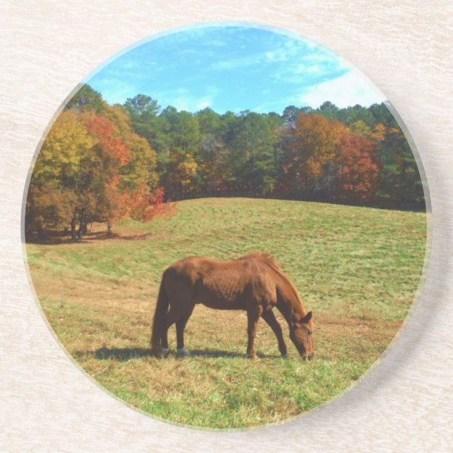 Red Brown horse, Teal Blå himmel Underlägg (Framsidan)