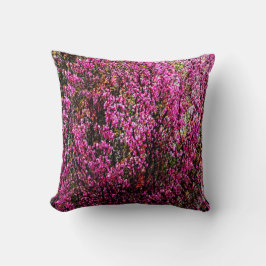 Red Bud Flowers...... Kudde