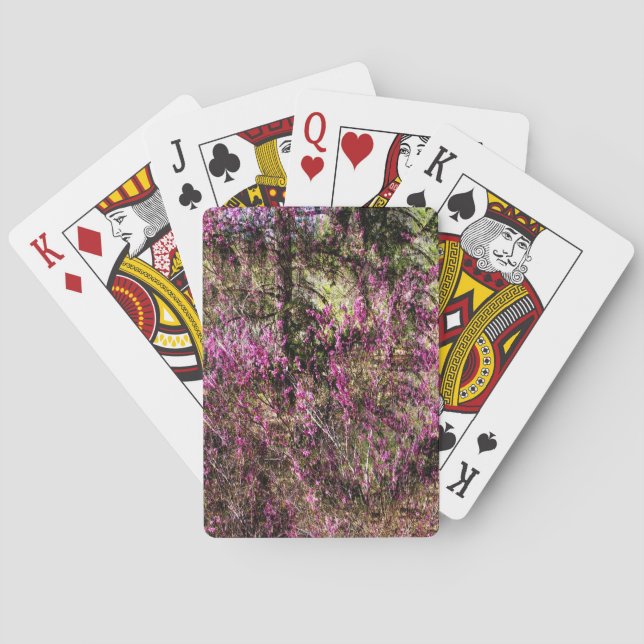 Red Bud Träd.... Casinokort (Baksidan)