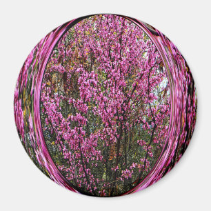 Red Bud träd... Magnet