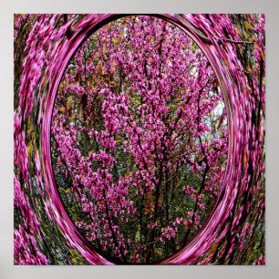 Red Bud träd... Poster
