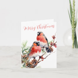 Red Bullfinch jul Birds Berries & Gräs Cones Helgkort