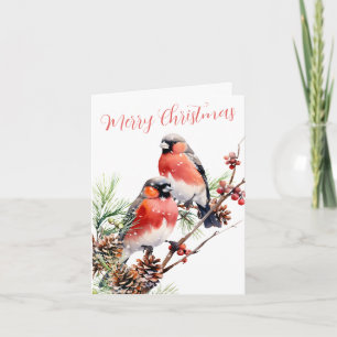 Red Bullfinch jul Birds Berries & Gräs Cones Helgkort