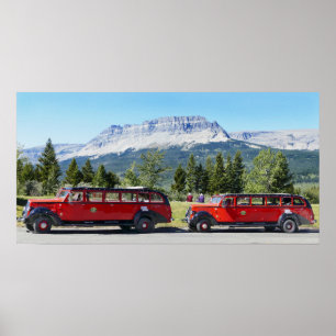 Red Buss, Glacier National Park, Montana Poster