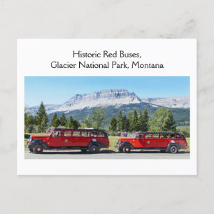 Red Buss, Glacier National Park, Montana Vykort
