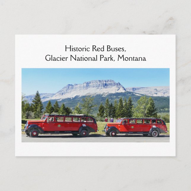 Red Buss, Glacier National Park, Montana Vykort (Framsida)