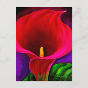 Red Cala Lily Flower Painting Art - Multi Vykort