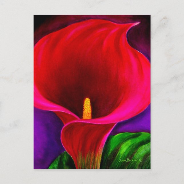 Red Cala Lily Flower Painting Art - Multi Vykort (Framsida)