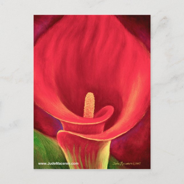 Red Cala Lily Tropical Flower Art - Multi Vykort (Framsida)