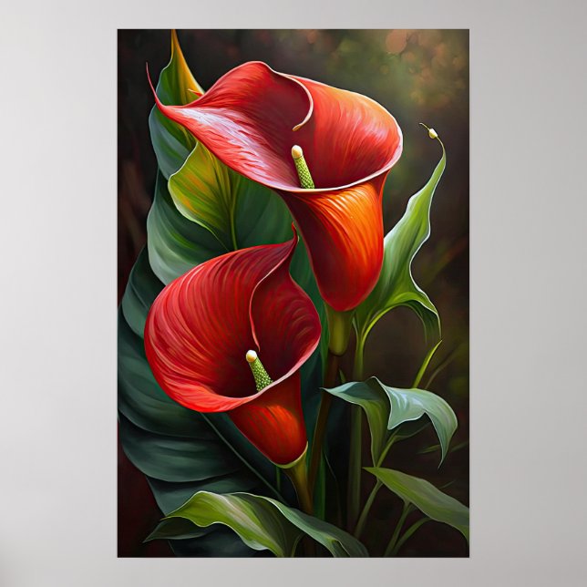 Red Calla Lilies Lily Flower Art Print Poster (Framsidan)