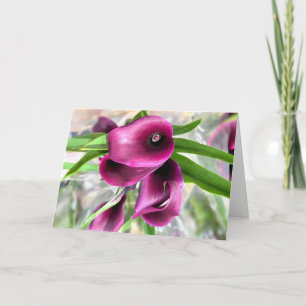 Red Calla Lily Tack Kort