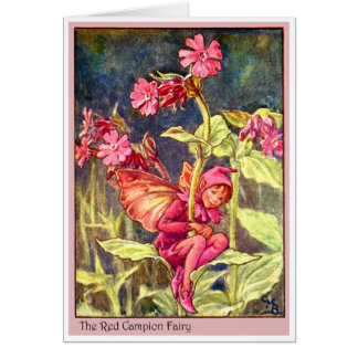 Red Campion Fairy Hälsningskort