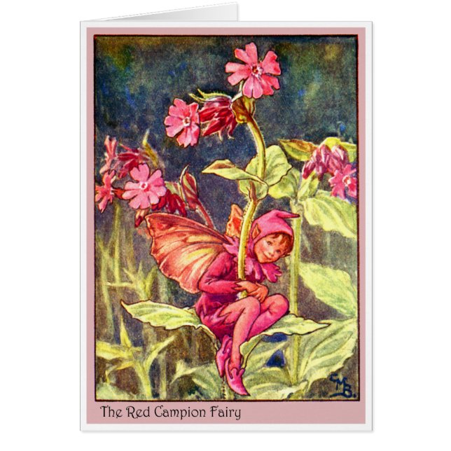 Red Campion Fairy Hälsningskort (Framsidan)
