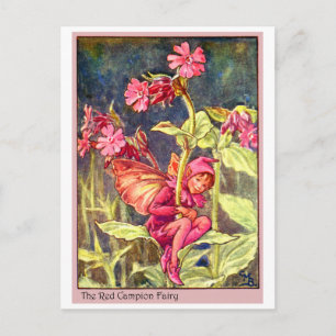 Red Campion Fairy Vykort