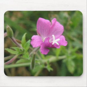 Red Campion WildblomMousepad Musmatta