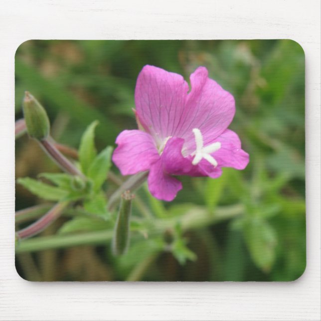 Red Campion WildblomMousepad Musmatta (Framsidan)