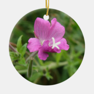 Red Campion Wildbloms Ornaments Julgransprydnad Keramik