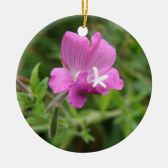 Red Campion Wildbloms Ornaments Julgransprydnad Keramik (Framsidan)