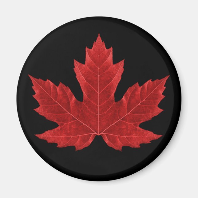 Red Canadian Maple Löv Magnet (Framsidan)