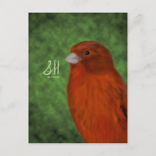 Red Canary Vykort