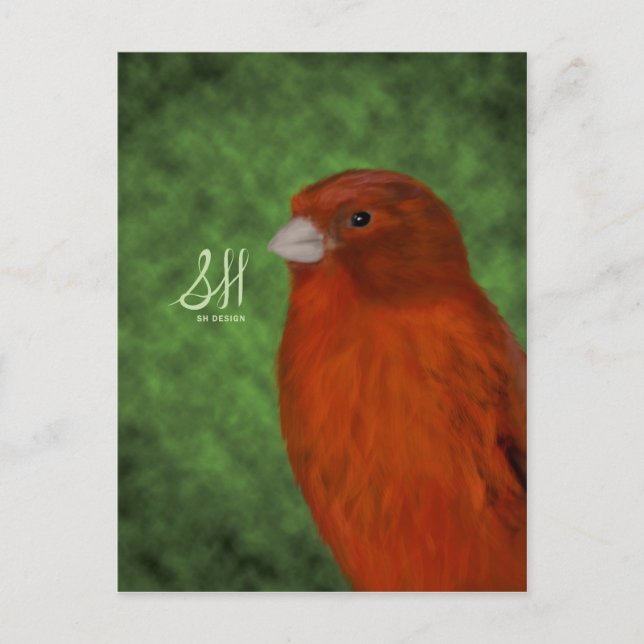 Red Canary Vykort (Framsida)