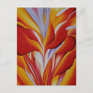 Red Canna Vykort